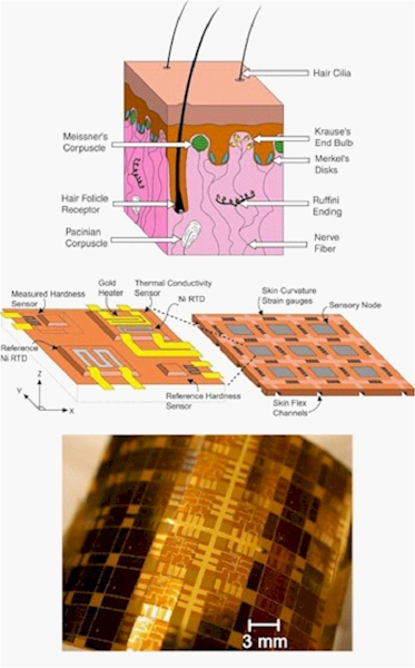 Tactile Sensor